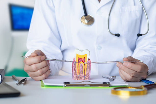 Best Urgent Dental Care for Toothache in Roseland, NJ